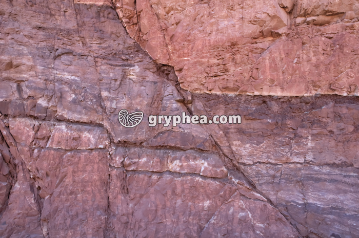 Faille Moab-2 - gryphea.com